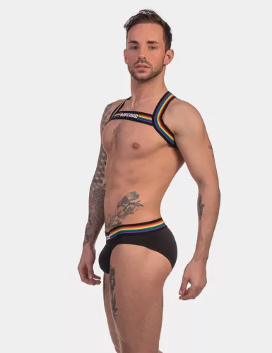 Harness Barcode Pride Edition