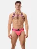 Harness Colin