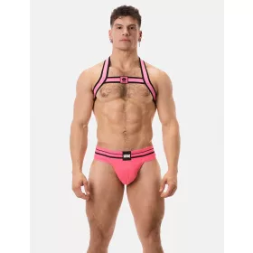 Harness Colin
