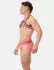 Harness Colin