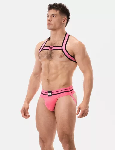 Harness Colin