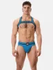 Harness Colin