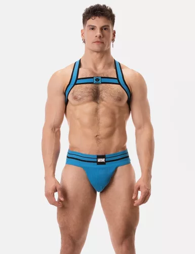 Harness Colin