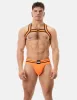 Harness Colin