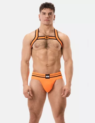 Harness Colin