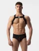 Harness Leonsh
