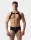 Harness Leonsh