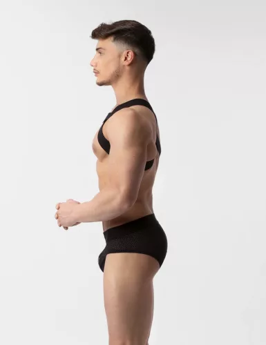 Harness Leonsh