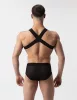 Harness Leonsh