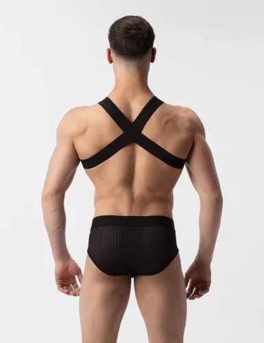 Harness Leonsh