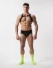 Harness Leonsh