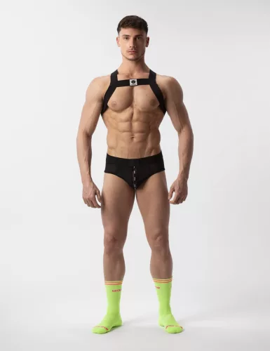 Harness Leonsh