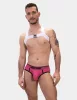 Harness Leonsh