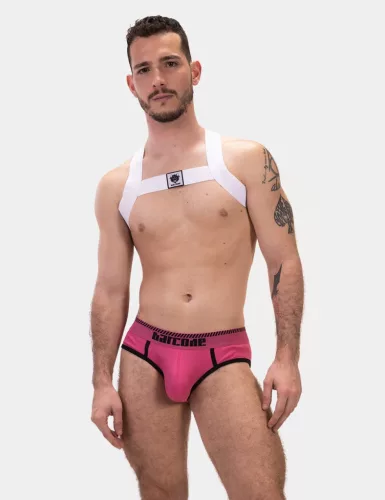 Harness Leonsh