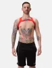 Harness Leonsh