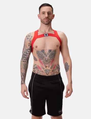 Harness Leonsh