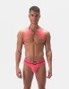 Harness Leonsh