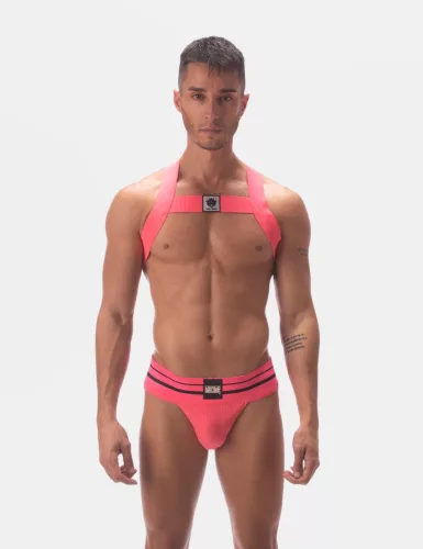 Harness Leonsh