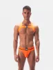 Harness Leonsh