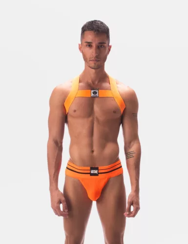 Harness Leonsh