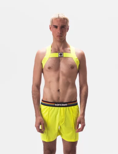 Harness Leonsh