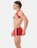 Harness Matt Pop