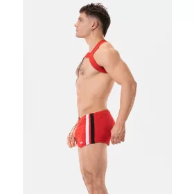 Harness Matt Pop