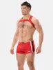 Harness Matt Pop
