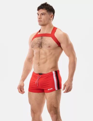 Harness Matt Pop