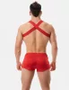 Harness Matt Pop