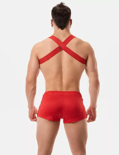 Harness Matt Pop