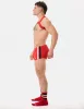 Harness Matt Pop