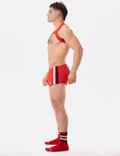Harness Matt Pop