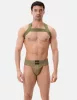 Harness Matt Pop