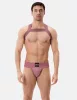 Harness Matt Pop