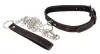 Schlechtes Katzenhalsband und Leine