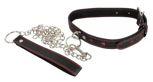 Schlechtes Katzenhalsband und Leine