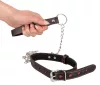 Schlechtes Katzenhalsband und Leine