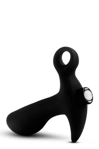 ANAL ADVENTURES PROSTATA-MASSAGER 01