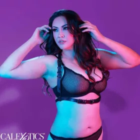 CALEXOTICS - EUPHORIA PLUS SIZE HALTER CSAT FEKETE HEVEDER