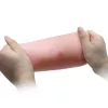 Die wahre Brust 1-teiliges Fleisch