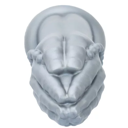 Fisting Szürke Butt Dilator L méret