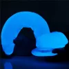 10" Lumino Play Dildo_B15O50_3