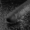 9,5" REAL SOFTEE wiederaufladbarer vibrierender Dildo (Schwarz)_B15O50_4