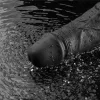 10" REAL SOFTEE wiederaufladbarer vibrierender Dildo (Schwarz)_B15O50_4