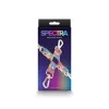 Spectra Bondage – Hogtie – Rainbow_B15O25_2