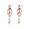 Bound – Brustwarzenklemmen – C3 – Roségold