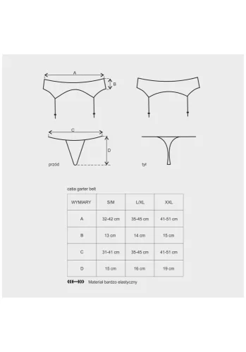 Catia garter belt & thong  S/M