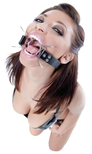 Spider Gag Silber/Schwarz